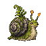 苔甲カタツムリ