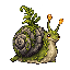 苔甲カタツムリ